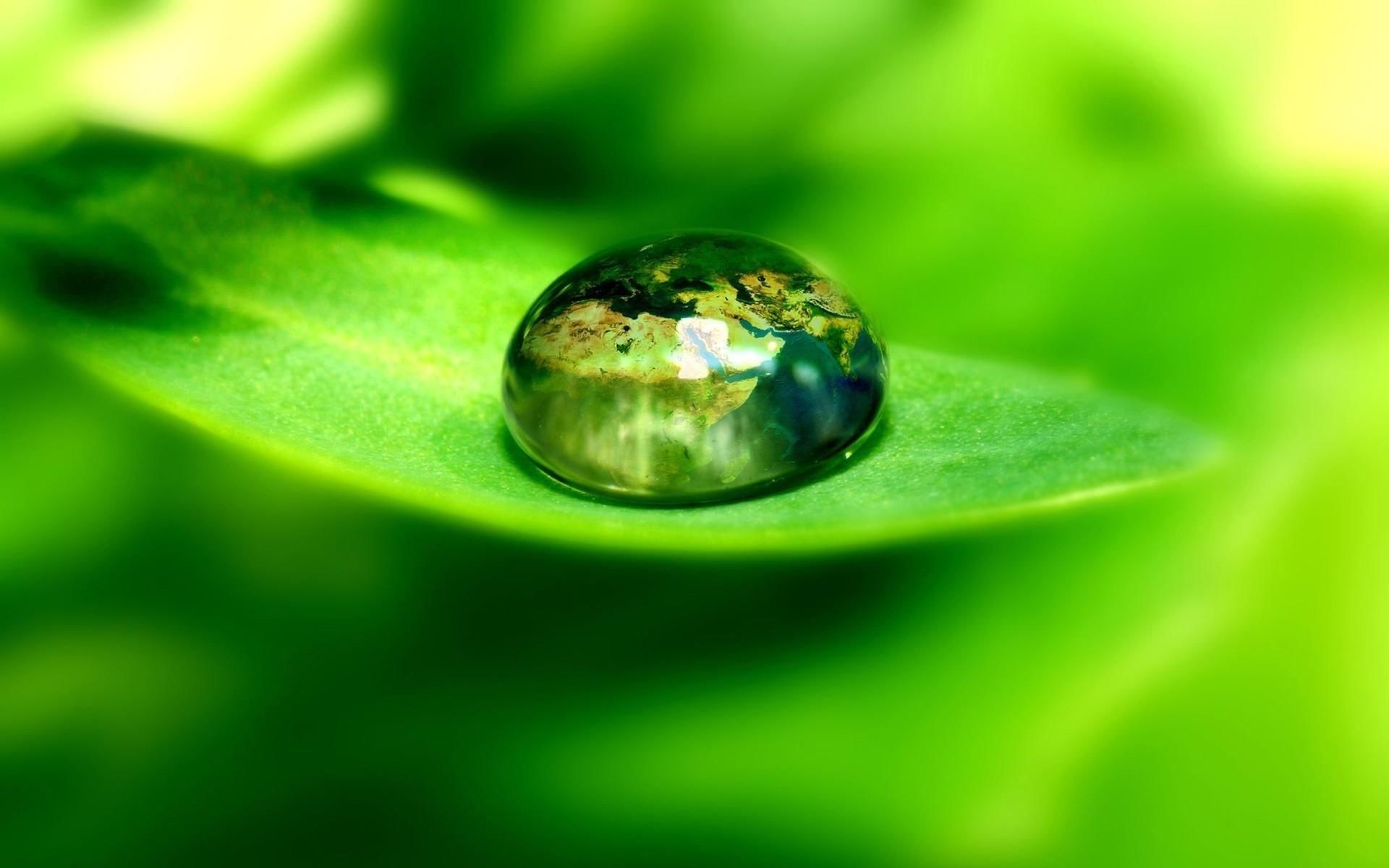 Капли воды на зеленом фоне