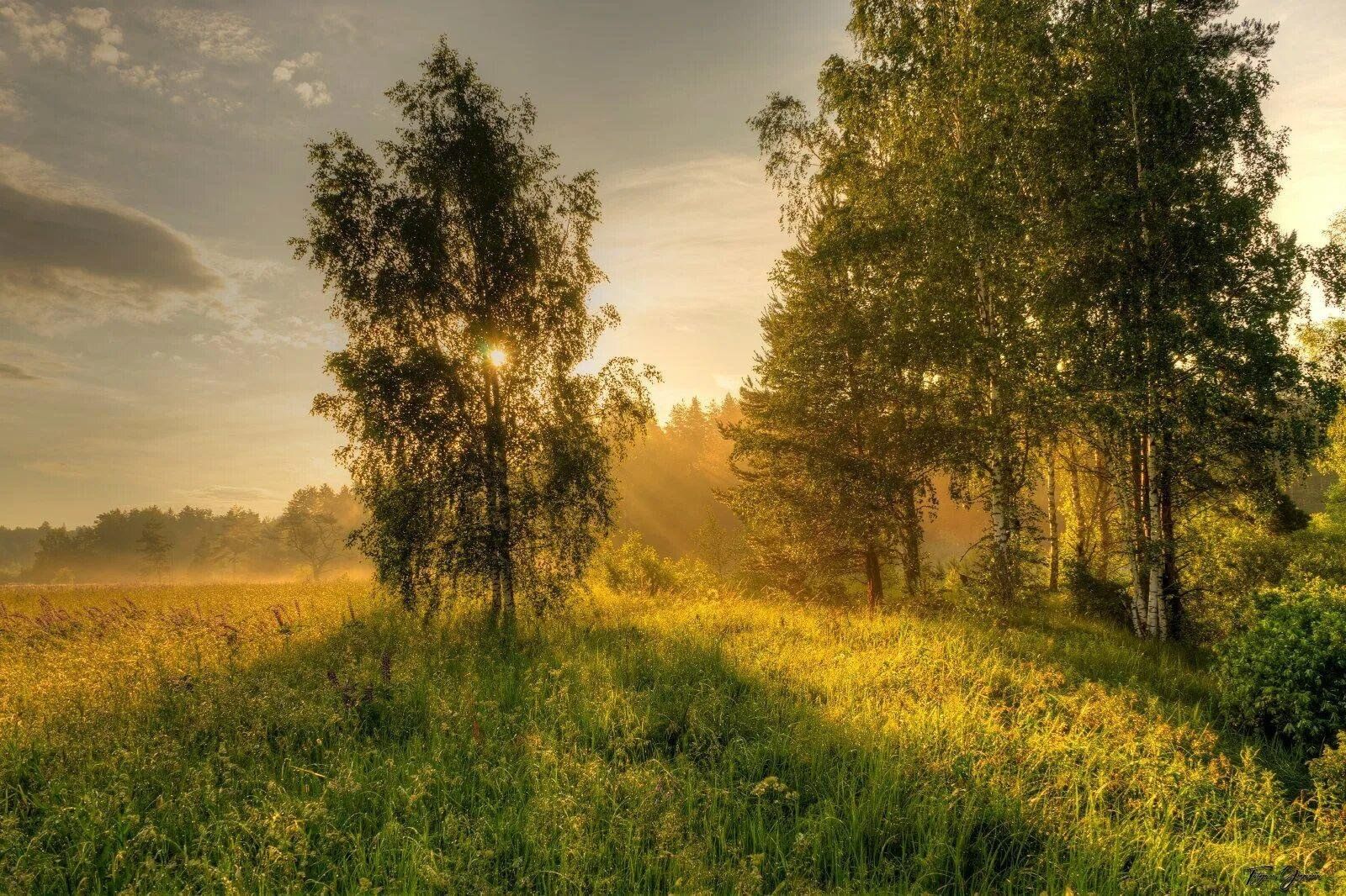 Картинка русская природа