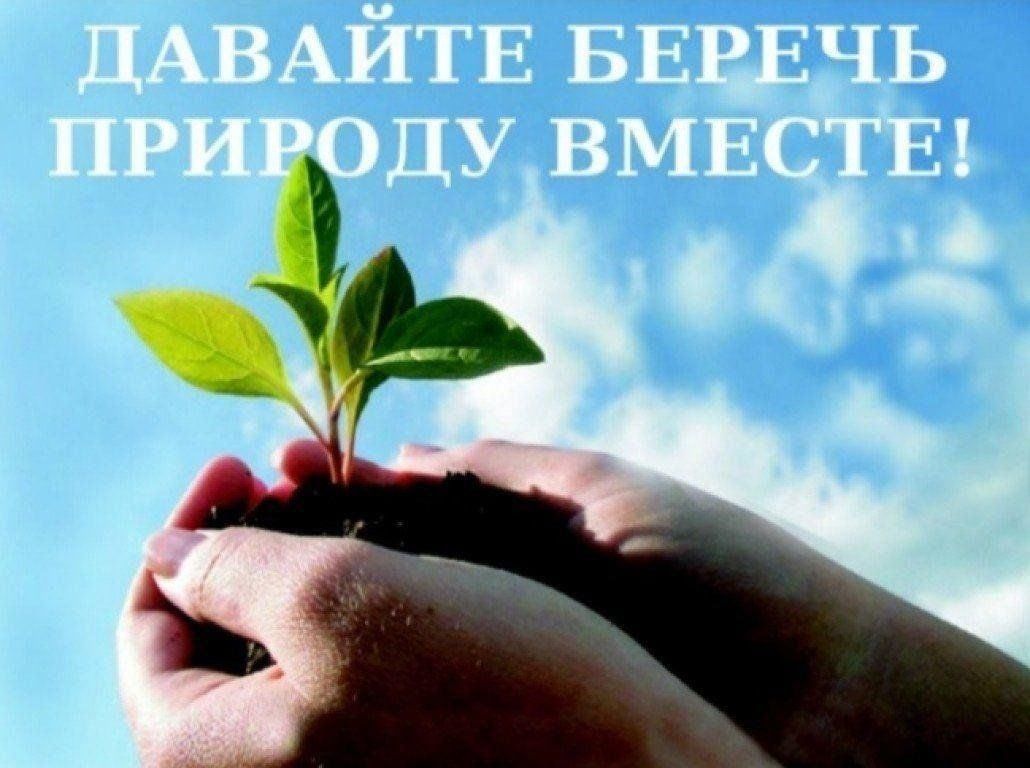 Экологические картинки для детей беречь природу