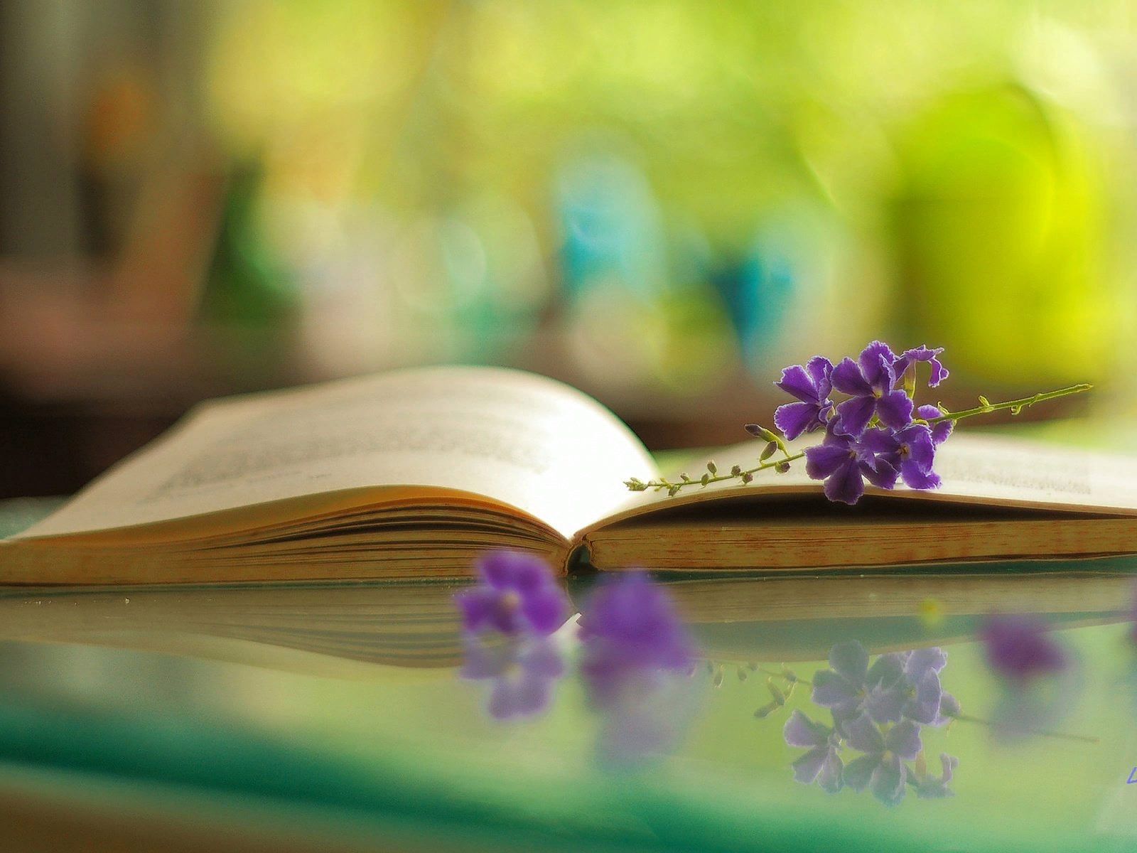 Главная книга обои на рабочий стол