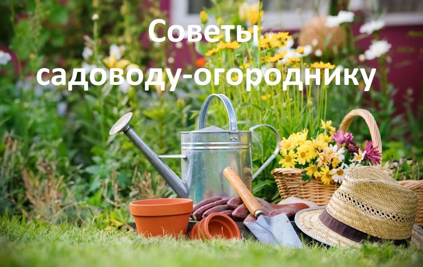 Дачный фон