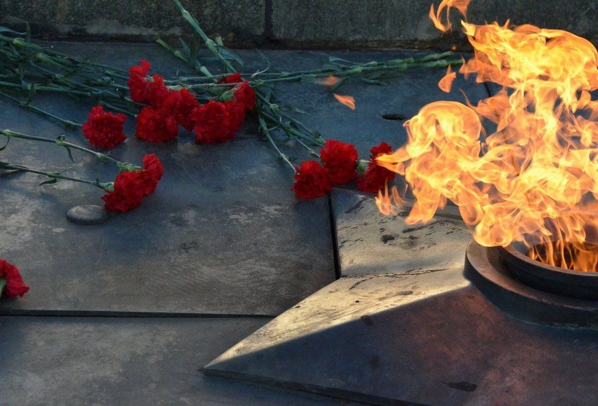 Вечный огонь и гвоздики