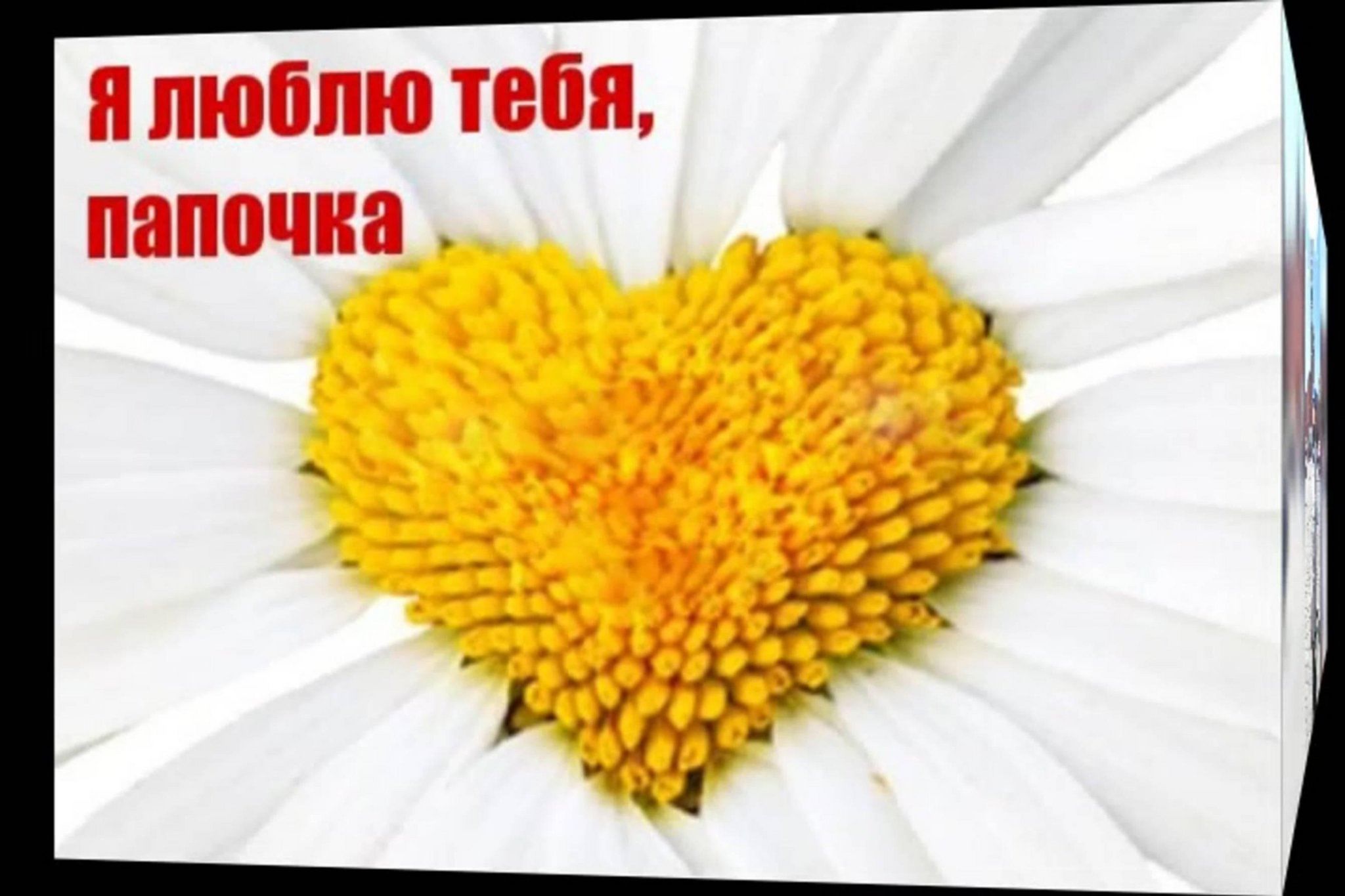 Доброе утро папуля картинки
