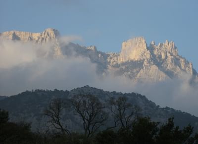 Ялтинский горно-лесной природный заповедник