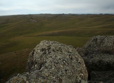 Даурский государственный природный биосферный заповедник