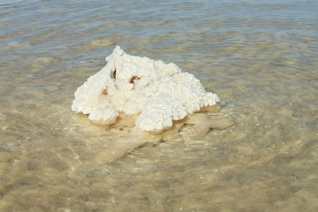 Кристаллы соли на озере Баскунчак. Александр Курганов / фотобанк «Лори»