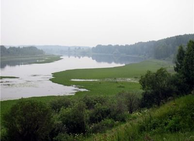 Городище Чудская Гора в Омской обл.