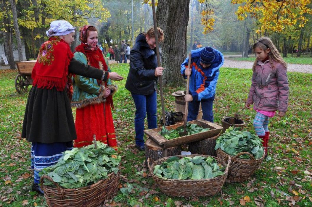 Картинка капустные посиделки для детей