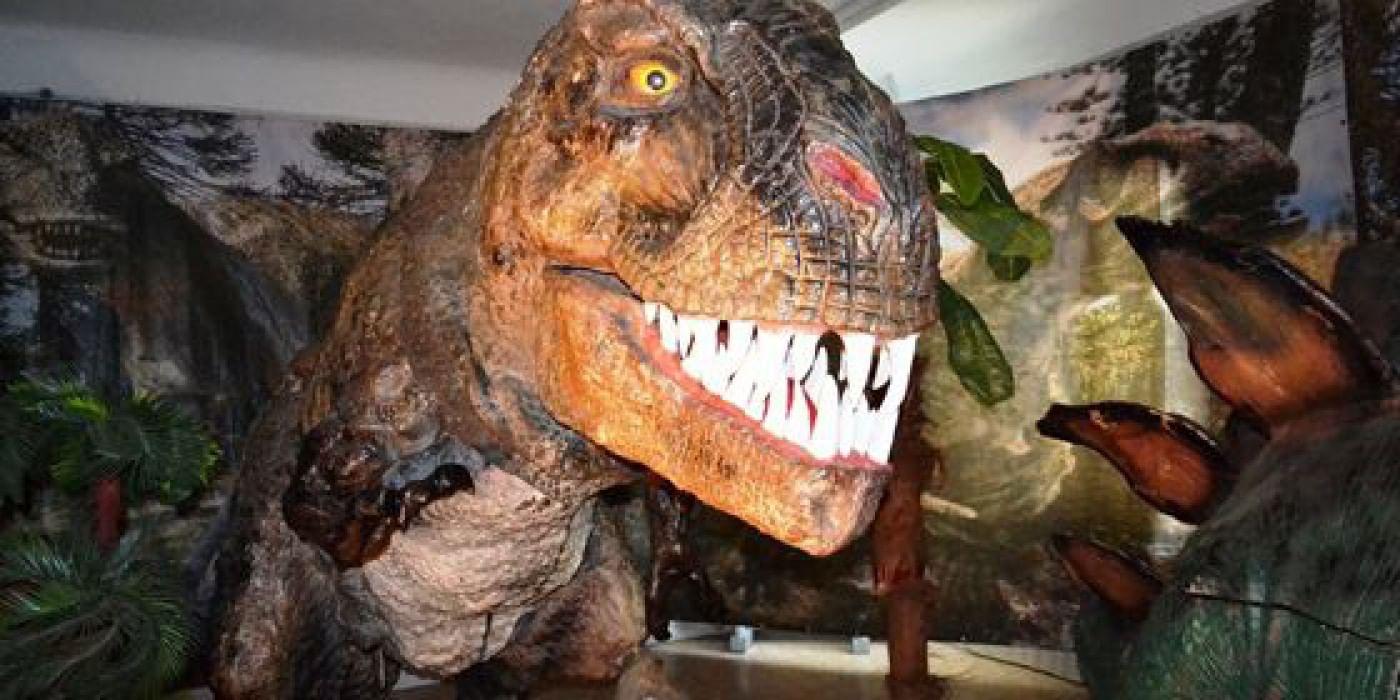 Выставка динозавров колизей. Планета динозавров выставка. Выставка движущихся гигантов «Планета динозавров». Планета динозавров Нижневартовск. Выставка динозавров в Улан-Удэ.
