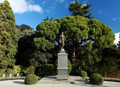 Никитский ботанический сад