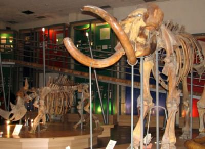 Музей мамонта Республики Саха (Якутия)