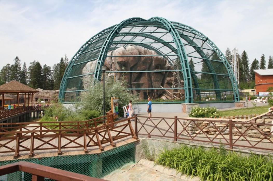 Ижевский зоопарк фото территории