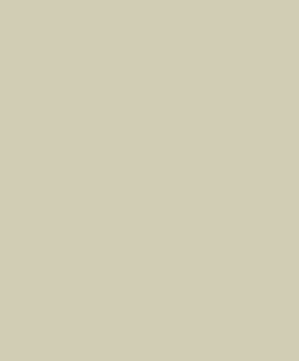 Елизавета Воронцова. Рисунок Петра Соколова. Ок. 1823. Музей В.А. Тропинина и московских художников его времени