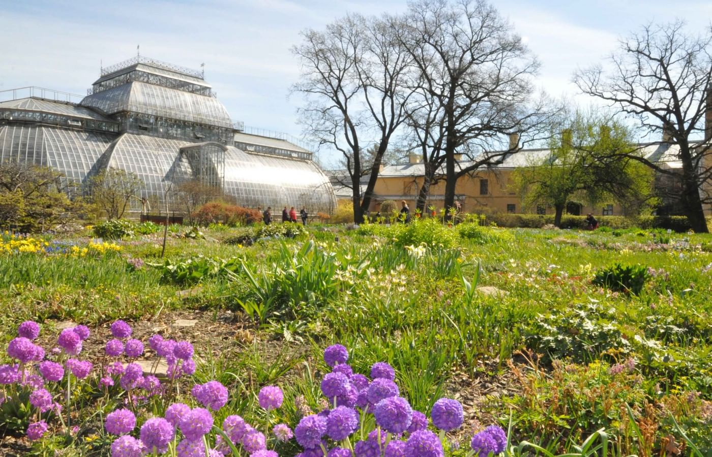 ботанический сад петра великого в санкт петербурге