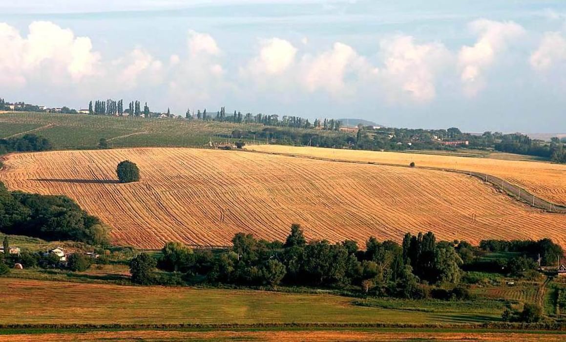 Полями краями. Кубань Краснодарский край. Степная равнина Кубань. Кубанская степь Краснодарский край. Кубанские поля Краснодар.