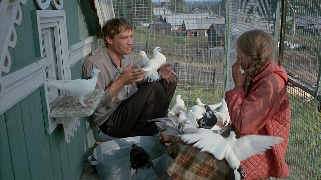 Кадр из фильма «Любовь и голуби» (1984)
