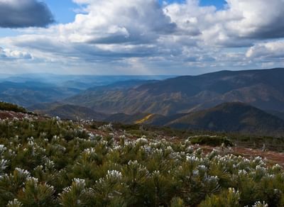 Центральный Сихотэ-Алинь