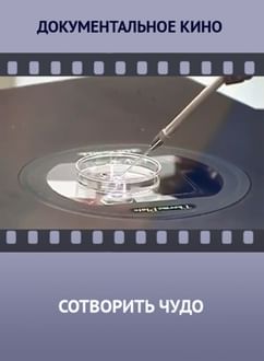 Сотворить чудо
564610