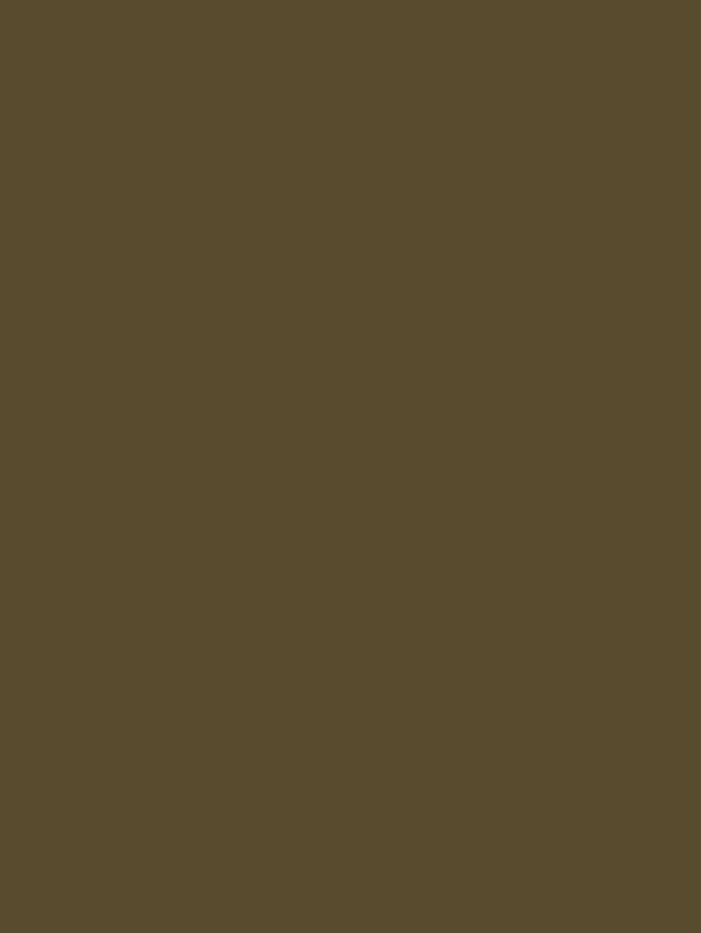 Михаил Ломоносов. Мозаика «Портрет Петра I». 1754. Государственный Эрмитаж, Санкт-Петербург