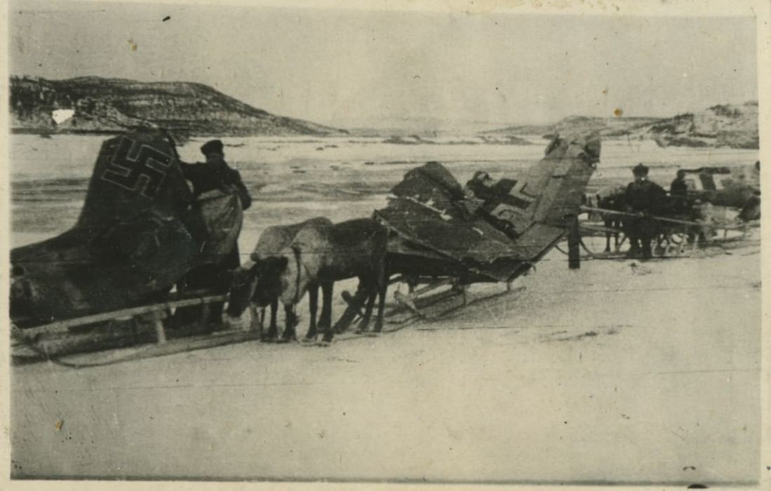 Зимой 1941 заполярная кавалерия какой фронт. Оленетранспортные батальоны. Оленно транспортные батальоны. Олени на войне 1941-1945. Оленетранспортные батальоны в годы войны.