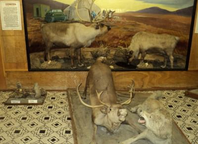 Краеведческий музей с. Лаврентия