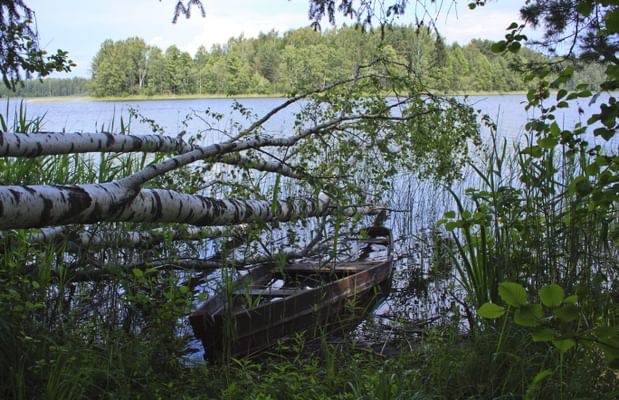 Национальный парк смоленское поозерье фото