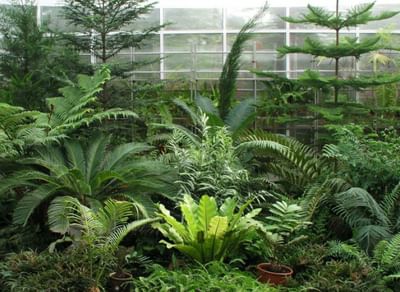 Ботанический сад Пермского государственного университета