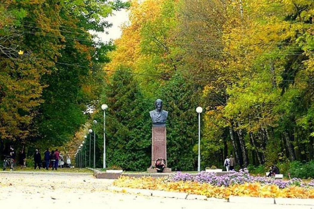 Парки тулы. Парк в Туле имени Белоусова. Центральный парк Белоусова Тула. ЦПКИО Тула. Центральный парк Тулы (ЦПКИО им. п.п. Белоусова).