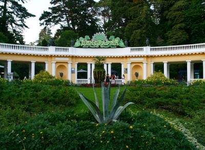 Сочинский дендрарий