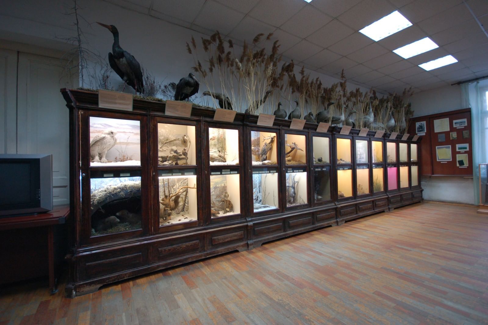 забайкальский краеведческий музей