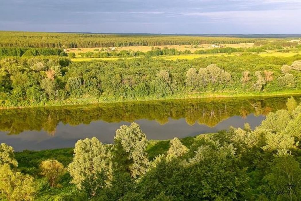 Разнообразие родного. Растительный мир Воронежской области Лиски. Природа родного края Воронежской области. Растительный мир края Воронежская область. Растительный Покров Воронежской области.