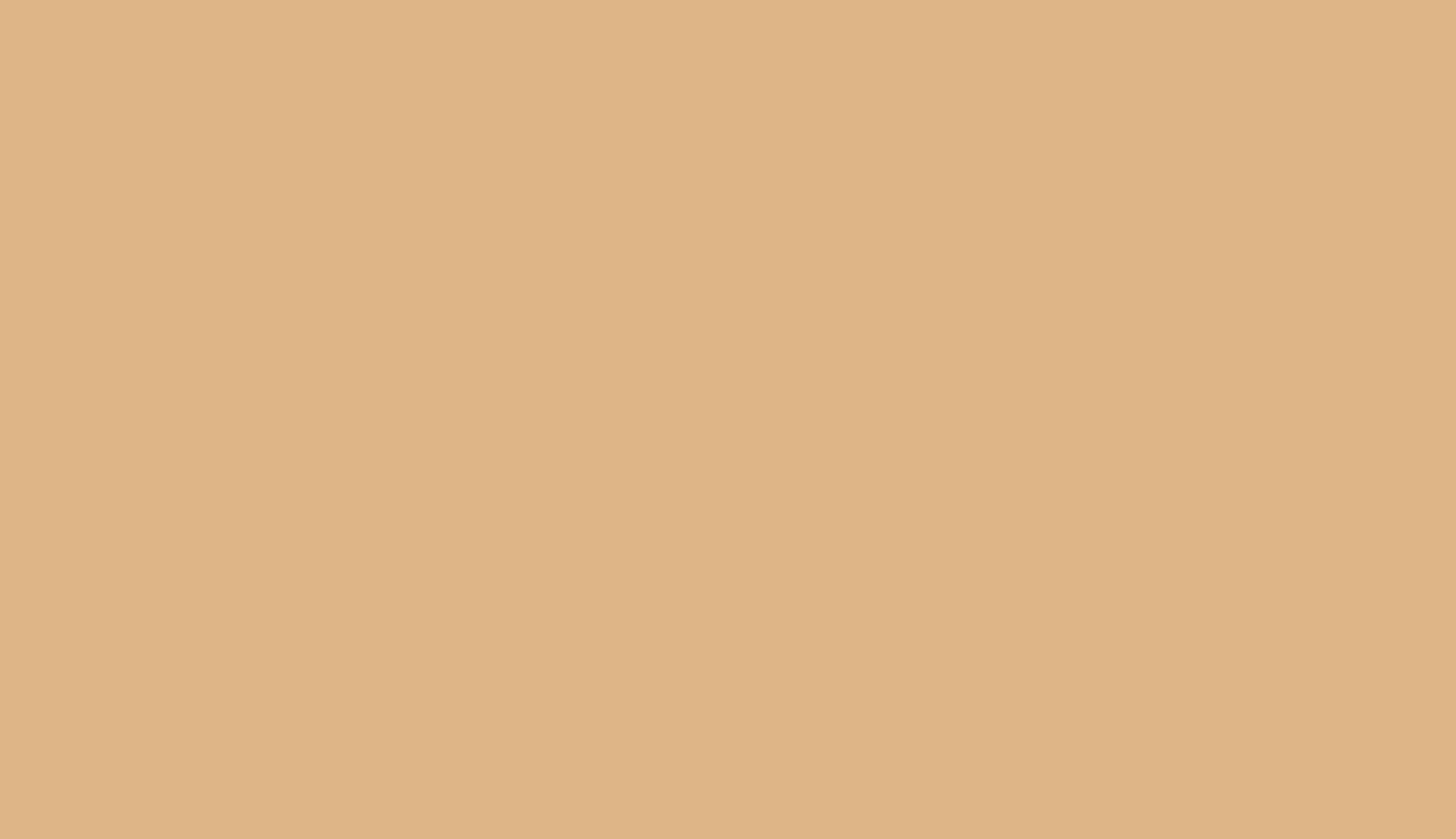 «Крылатый предмет», Чукотка, Эквен. I тыс. н. э. Фотография: Государственный музей Востока