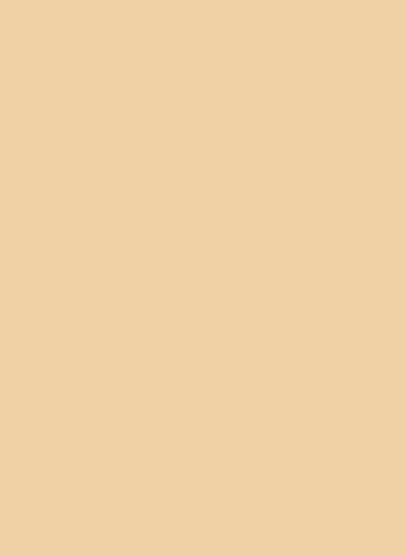 Головка гарпунного древка. Чукотка. I тыс. н. э. Фотография: Государственный музей Востока