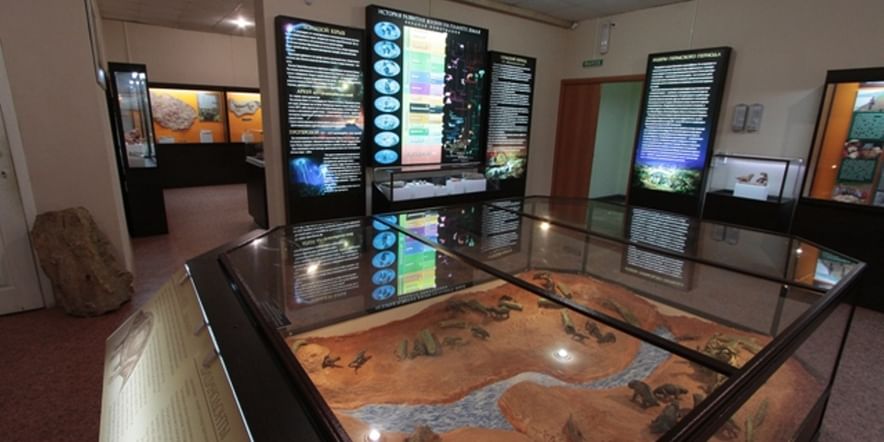 Основное изображение для учреждения Котельничский палеонтологический музей