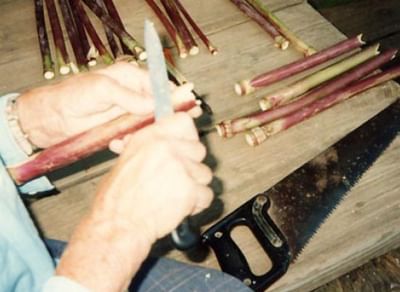 Технология изготовления многоствольных флейт пэлян у коми-пермяков