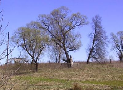 Похоронный обряд деревни Черёмуха Клетнянского района Брянской области