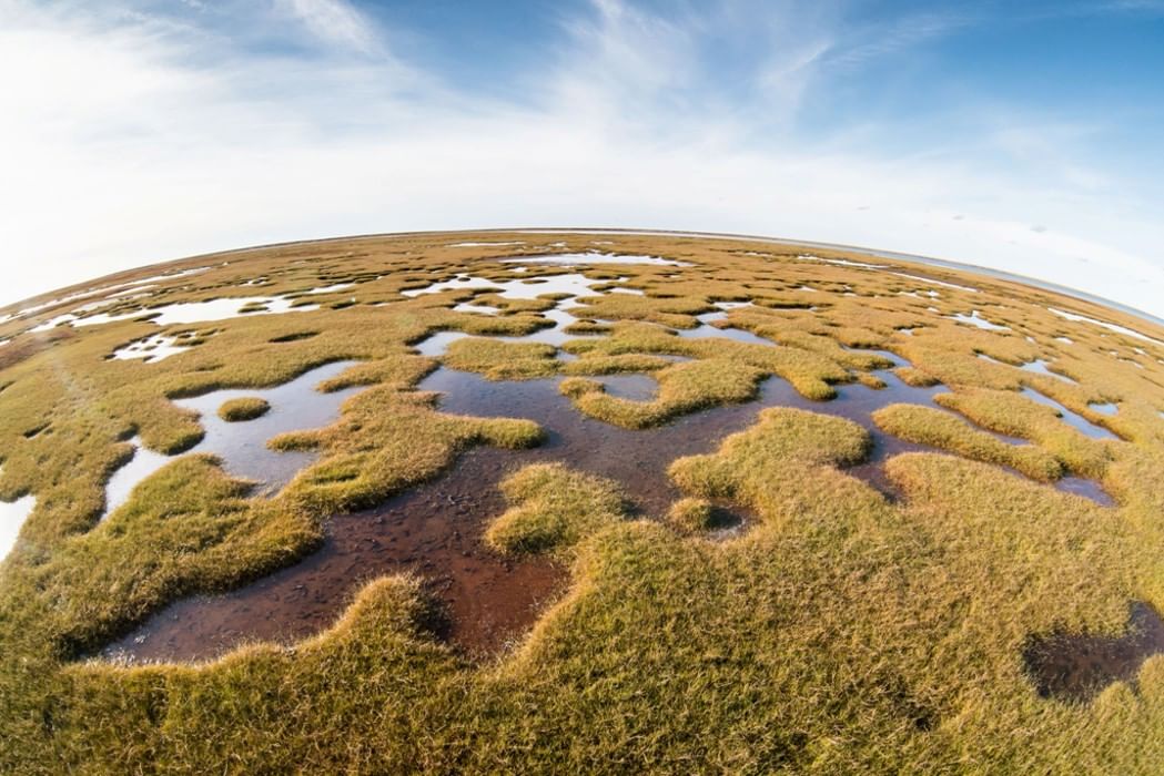 Фото гыданский заповедник