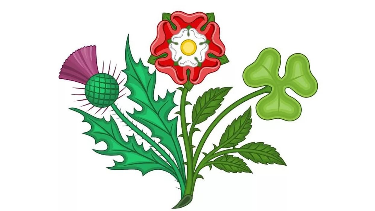 Тюдоровская роза символ Англии
