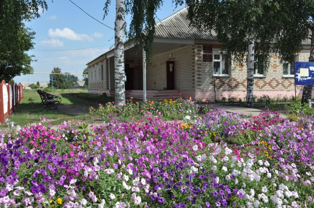 Погода белгородская область ракитянский трефиловке. Трефиловка Белгородская область. Трефиловка Ракитянский район. Трефиловка Ракитянского района Белгородской области. Трефиловский дом культуры.