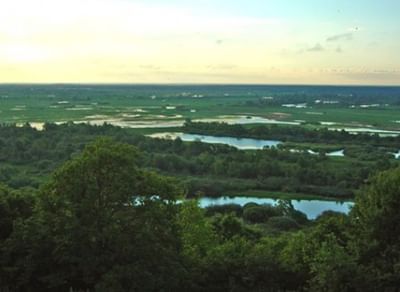 Сказки брянского Подесенья