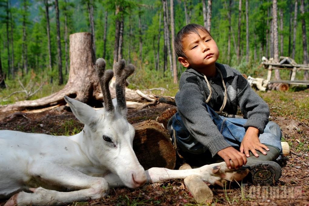 Негидальский мальчик с молодым оленем