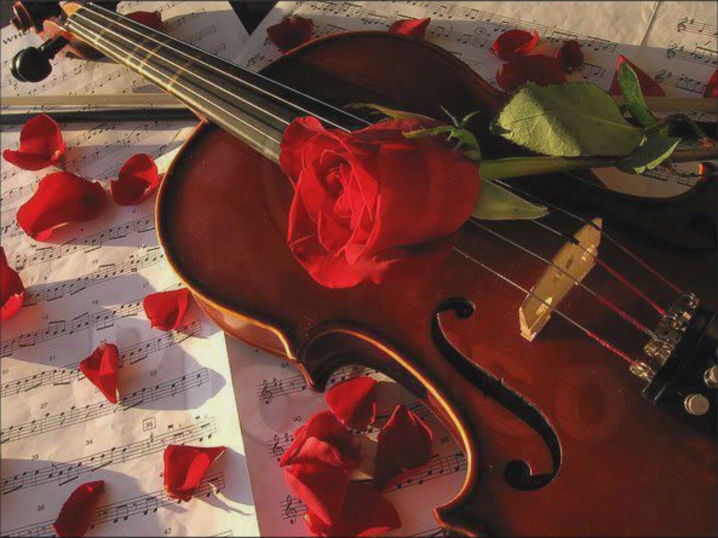 Очень красивая песня люблю. Скрипка любовь. Скрипка и цветы. Романтическая композиция.