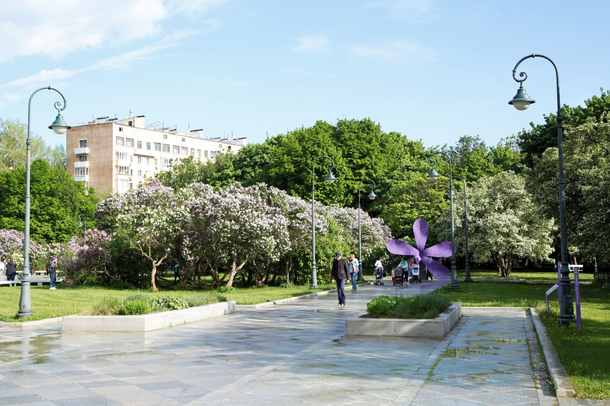 Сиреневый сад — Москва, Щелковское шоссе, вл. 8-12. Подробная информация о  парке: расписание, фото, адрес и т. д. на официальном сайте Культура.РФ