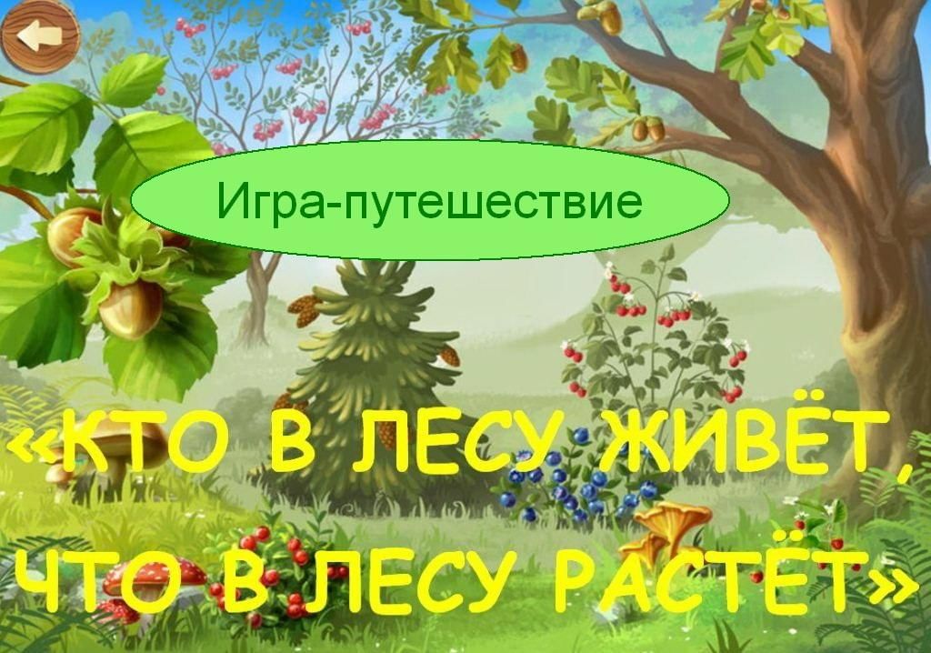 Кто живет в нашем лесу проект