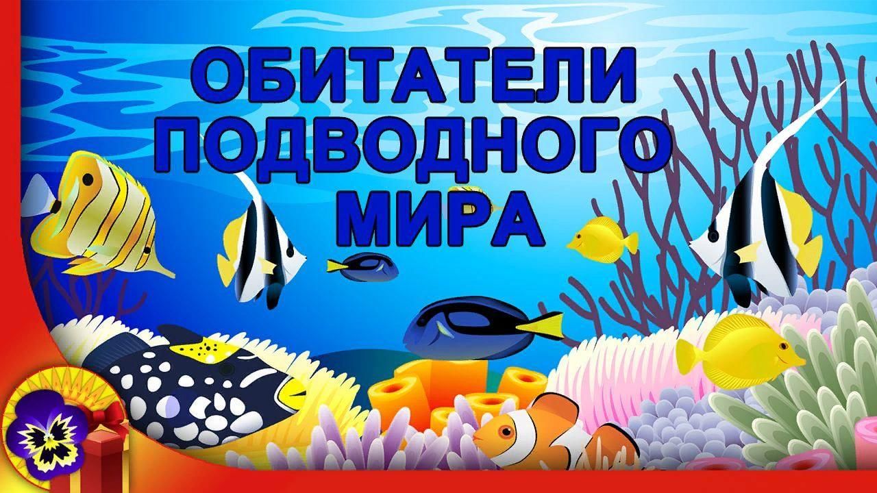 Водный мир проект