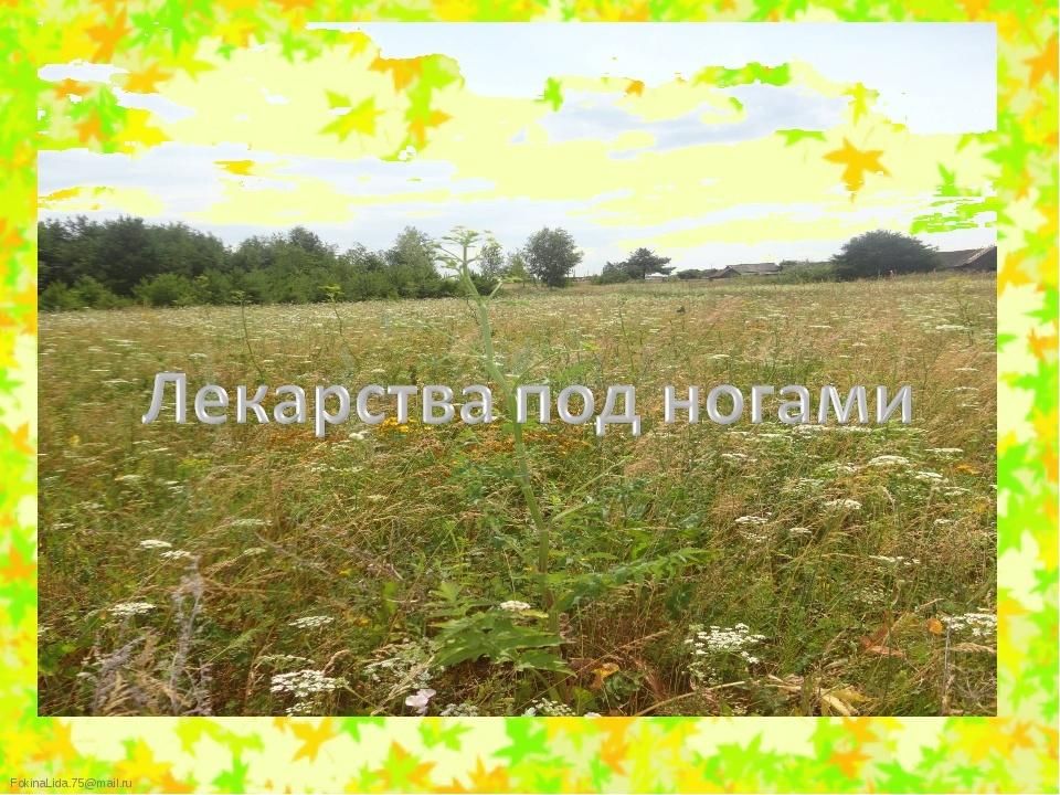 Аптека под ногами проект 3 класс