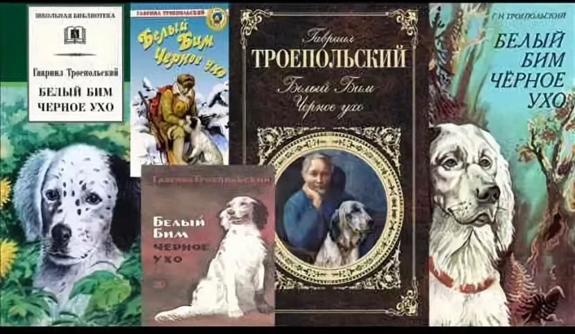 Белый бим черное ухо автор. Обложка Троепольский, г.н. белый Бим черное ухо. Буктрейлер по книге Троепольского белый Бим черное ухо. Буктрейлер белый Бим черное ухо. Буктрейлер Троепольский черный Бим белое ухо.