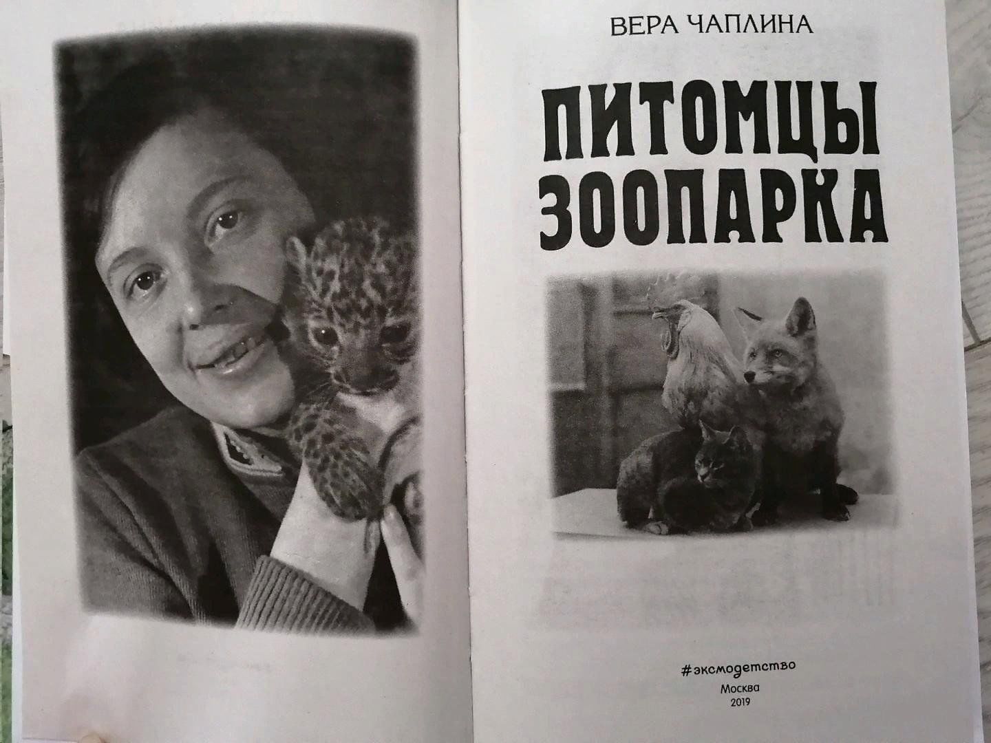 В чаплина картинки