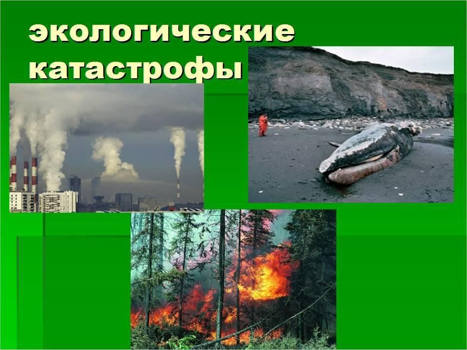 Экологические катастрофы фото картинки для презентации