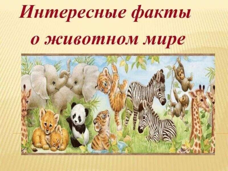 Презентация интересные факты о животных